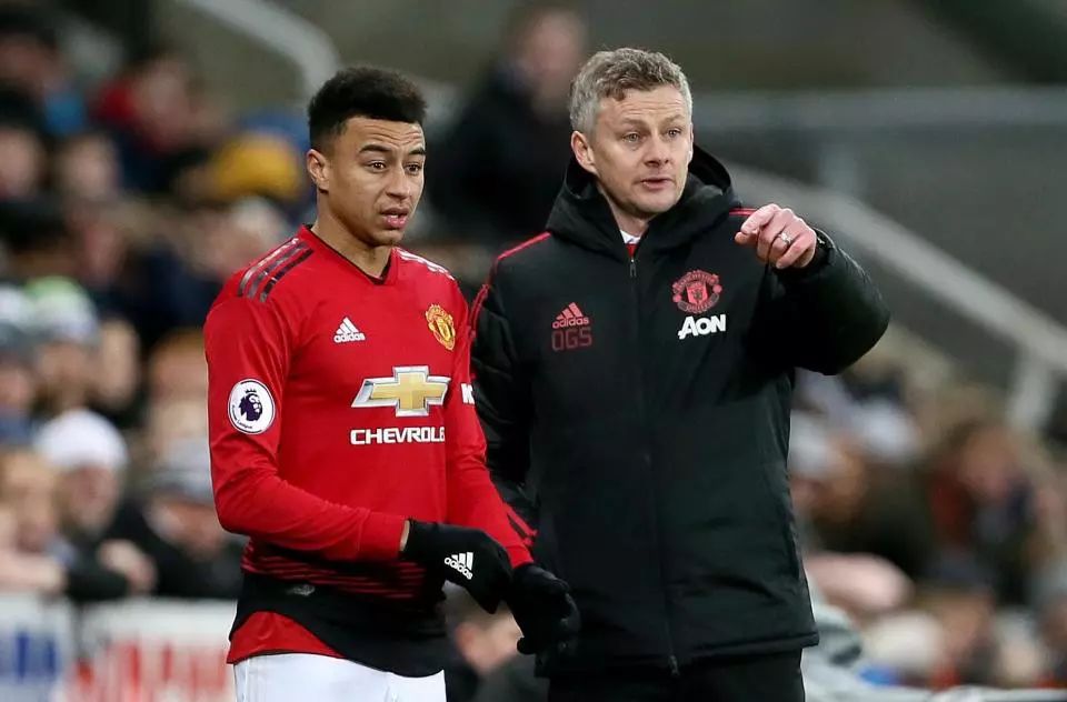 粉丝带来了 粉丝带来了